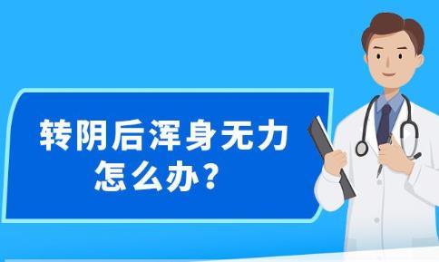 新澳精准资料免费提供网站有哪些，新澳精准资料免费提供的网站及其潜在法律风险
