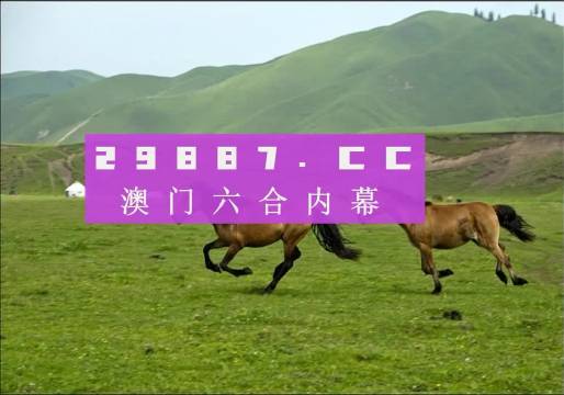 澳门最精准正最精准龙门客栈图库，澳门龙门客栈图库，精准资料大揭秘