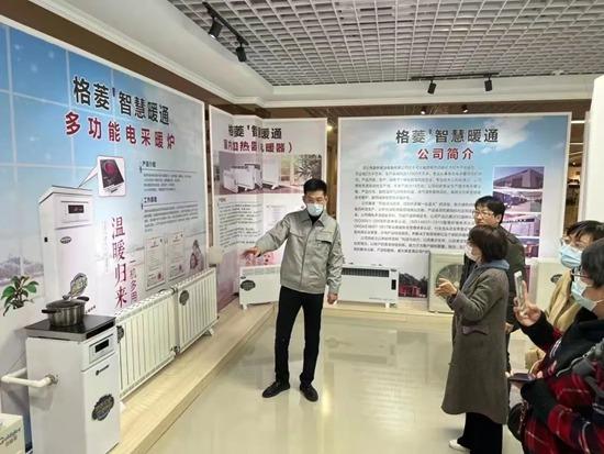 新能源公司企业管理分析，新能源企业内部管理优化策略探讨