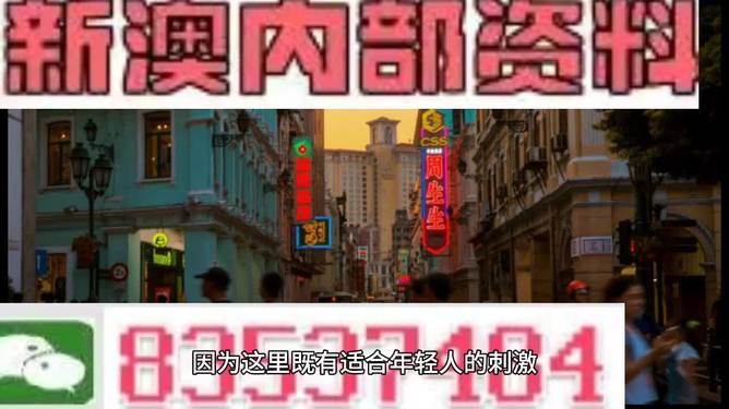 新澳内部资料精准大全，新澳内部资料精准大全背后的犯罪隐患揭秘