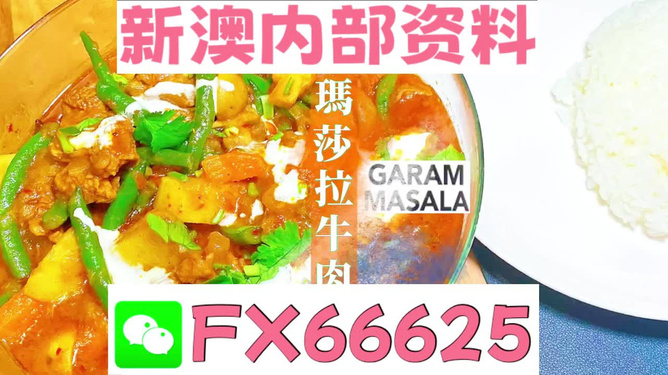 2024年正版资料免费大全功能介绍，2024年正版资料免费大全功能详解