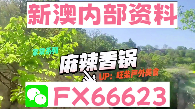 2024新澳精准资料大全，2024新澳精准资料大全手册