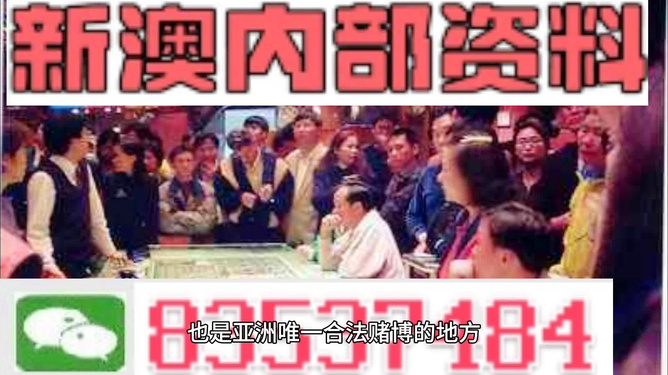 澳门最准的资料免费公开，澳门资料揭秘，真相背后的免费公开与犯罪风险警告