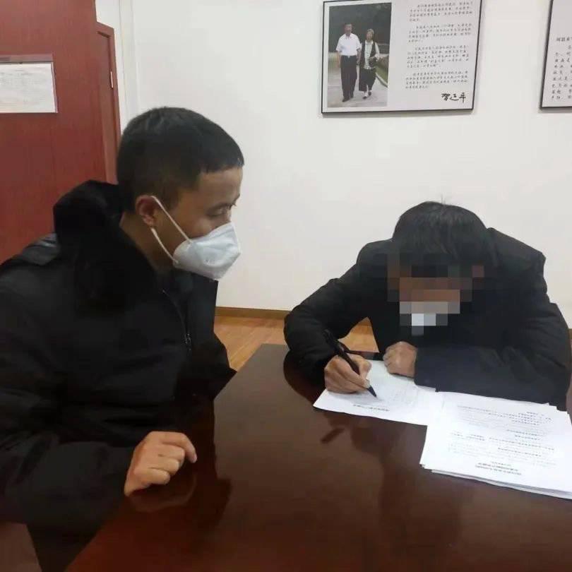最新个人财产申报模板详解，实用技巧与填报指南，全面解读个人财产申报，最新模板、实用技巧及填报攻略