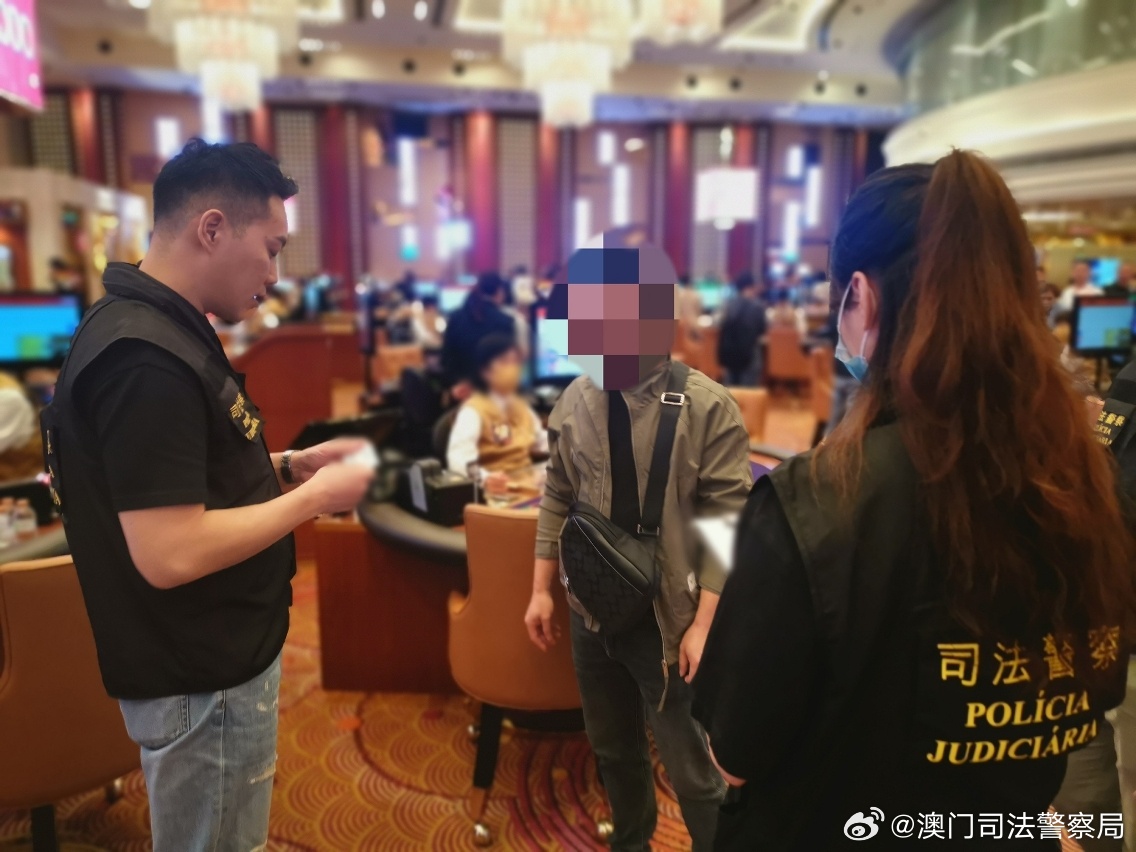 2024澳门天天六开彩查询，关于澳门天天六开彩查询的违法犯罪问题探讨