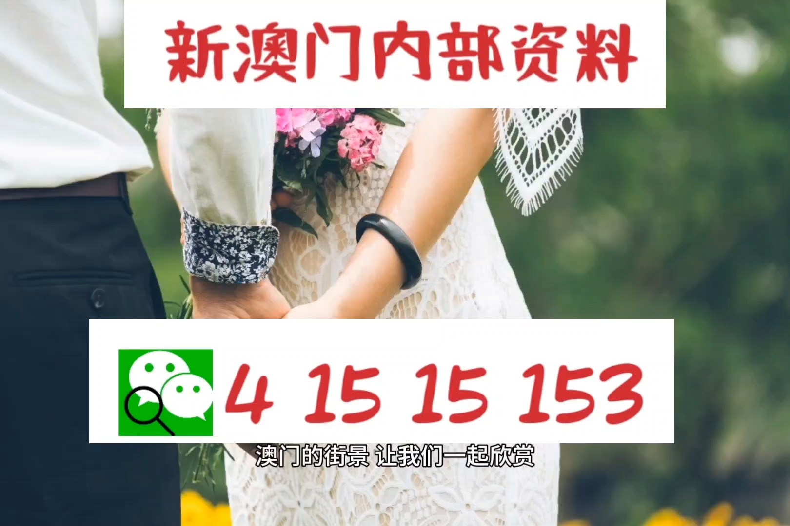 2024新澳精准资料免费，2024新澳精准资料免费全面解析