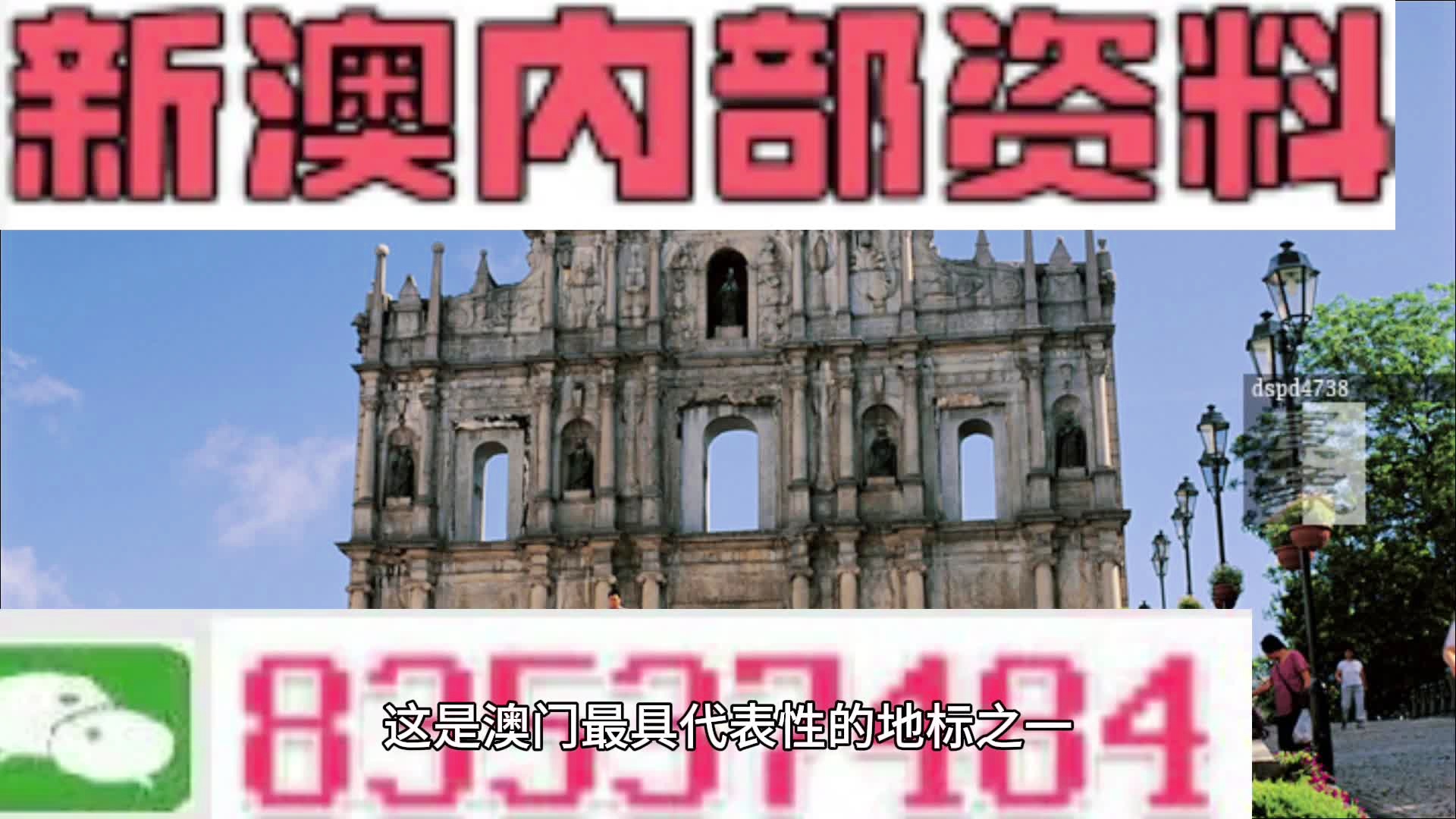 新澳2024正版资料免费公开，新澳2024正版资料免费公开大揭秘