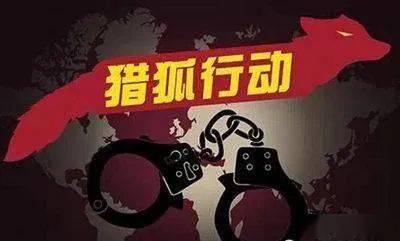 新澳门今晚开特马开奖，澳门今晚彩票开奖背后的犯罪问题探讨
