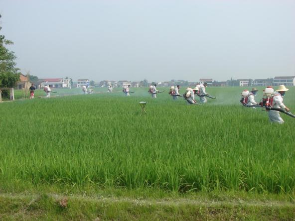 农村土地确权新规定最新版解读，权益保障，助力乡村振兴，农村土地确权新规解读，保障权益，助力乡村振兴战略实施