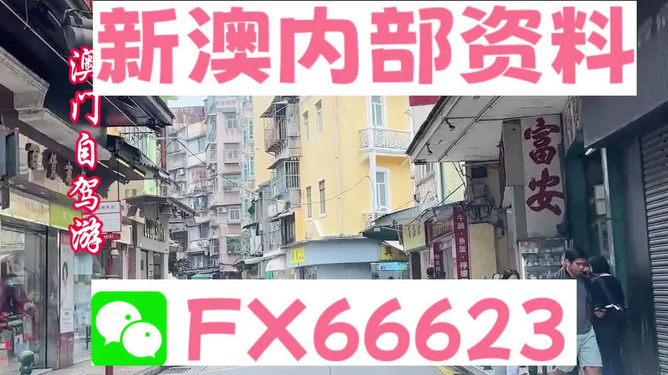 2024新澳精准资料大全，2024新澳精准资料大全手册