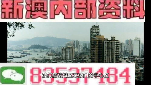 澳门天天开彩期期精准，澳门天天开彩期期精准背后的犯罪风险警示