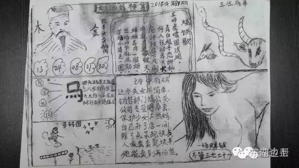 香港管家婆彩图，香港管家婆彩图揭秘