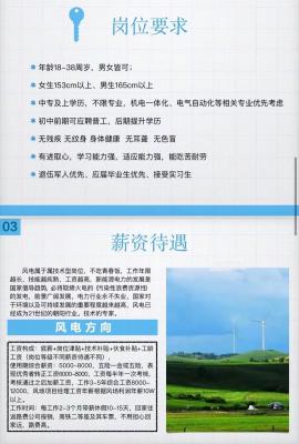 西昌市新能源厂招聘启事，探索绿色未来的职业机遇，西昌市新能源厂招聘启事，携手探索绿色未来的职业机遇