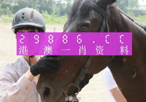 澳门一肖一码必中一消，澳门一肖一码必中背后的犯罪风险警示