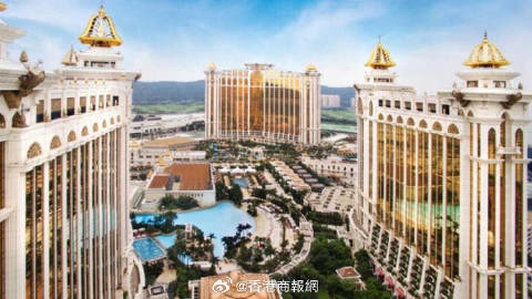 新澳门今晚精准一码，澳门精准一码预测，警惕违法犯罪风险！