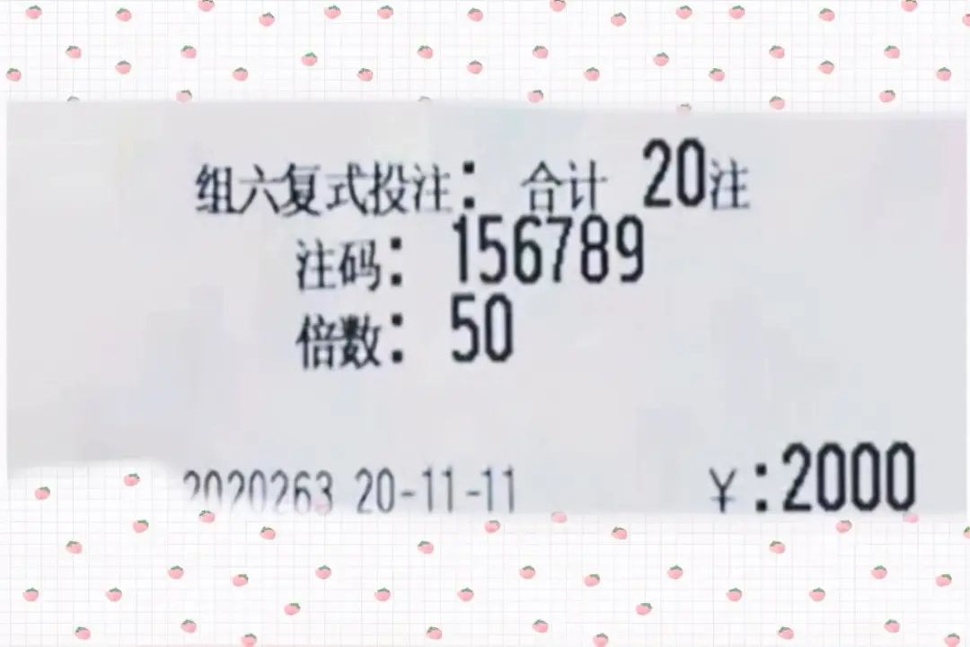 澳门开奖结果2024开奖今晚，澳门开奖结果2024开奖今晚，澳门彩票今晚开奖结果：期待与理性的交汇点