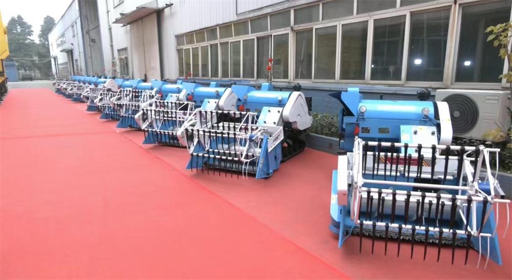 2023年油菜最新价格走势分析，影响因素与未来预测，2023年油菜价格趋势洞察，影响因素解析与未来展望