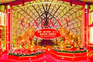 澳门正版金牛版凤凰艺术，澳门正版金牛版凤凰艺术，《澳门正版金牛版凤凰艺术》：传统与现代艺术的璀璨交融