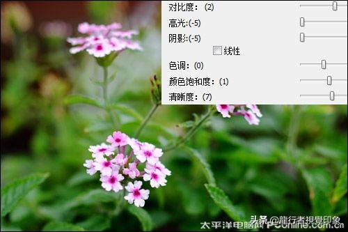 佳能DPP最新版本，功能特点与优势解析，佳能DPP最新版本功能解析与优势概览