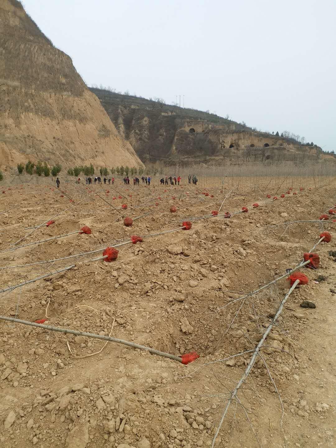 株硬集团最新消息，株硬集团最新动态，重大新闻速览