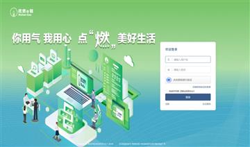 新能源 RTO，新能源RTO，未来能源管理的创新模式