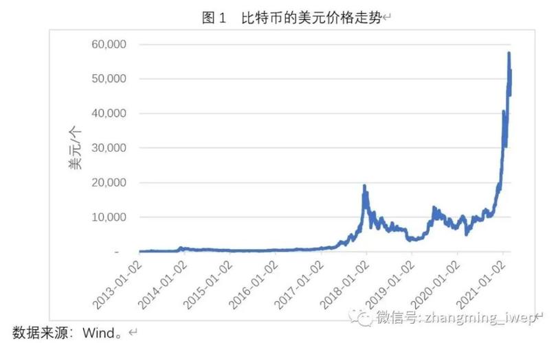 白雷比特币，【深度解析】白雷比特币的独特优势与未来发展挑战