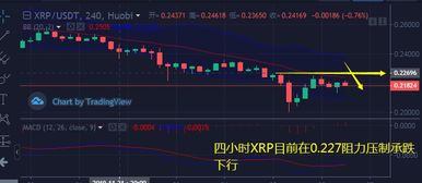 比特币，回顾与预测——比特币在2008年至现在的走势图最新分析，比特币回顾与未来预测，从2008年至今的走势图分析