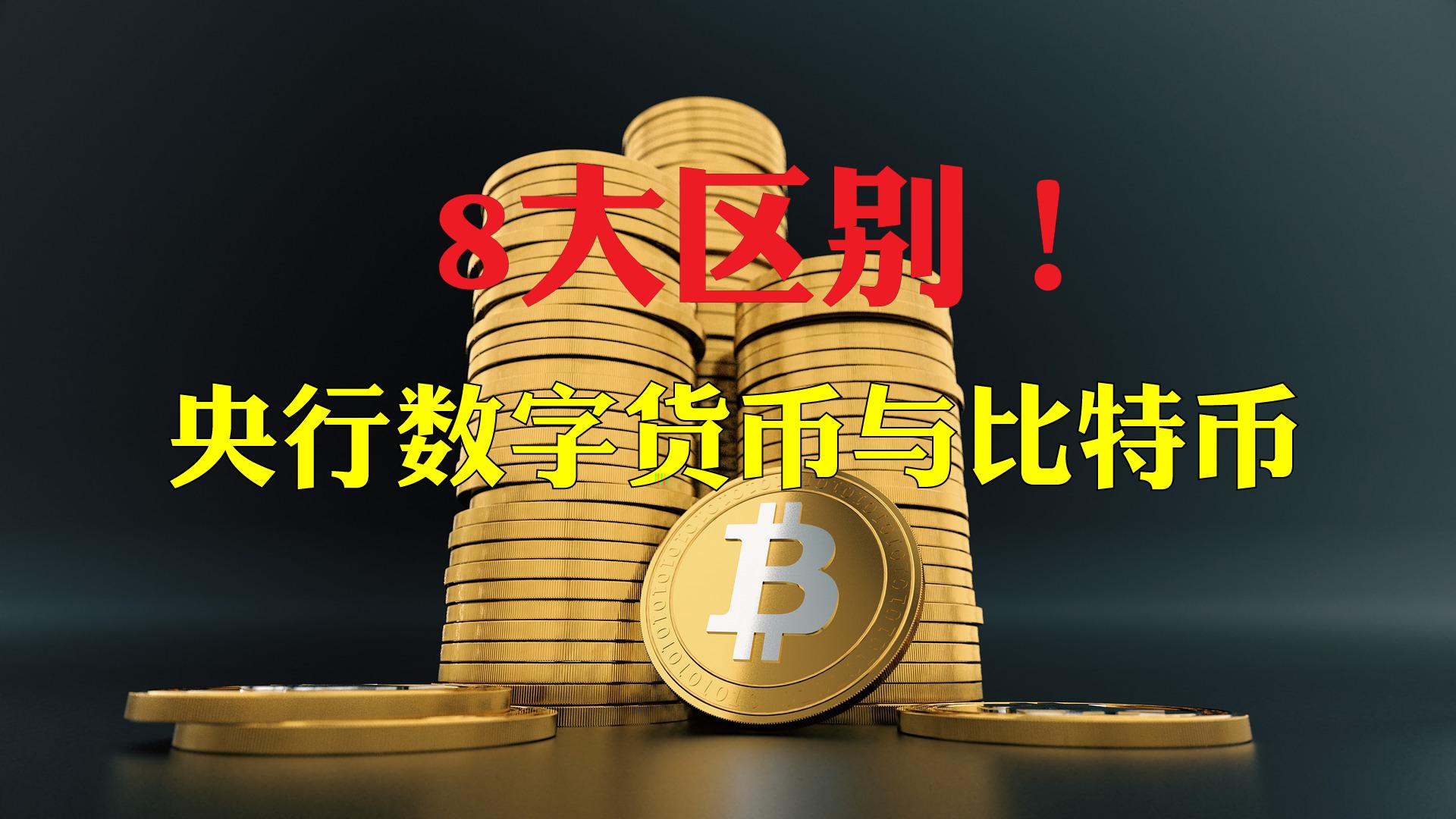 新币种比特币，比特币：探索数字货币未来之路