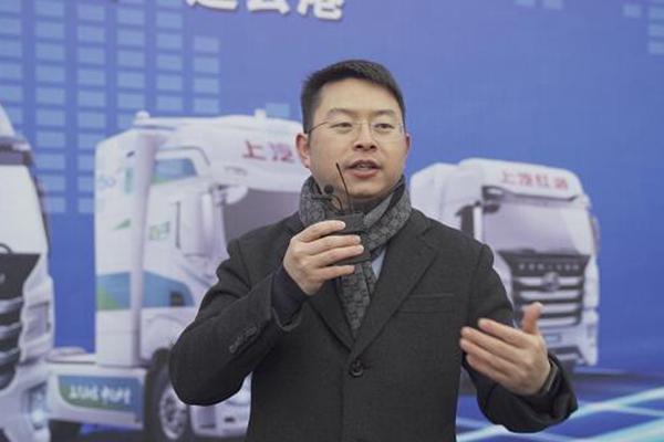新能源价格趋势分析，未来是否会回落？，新能源价格未来走势预测，回落可能性分析
