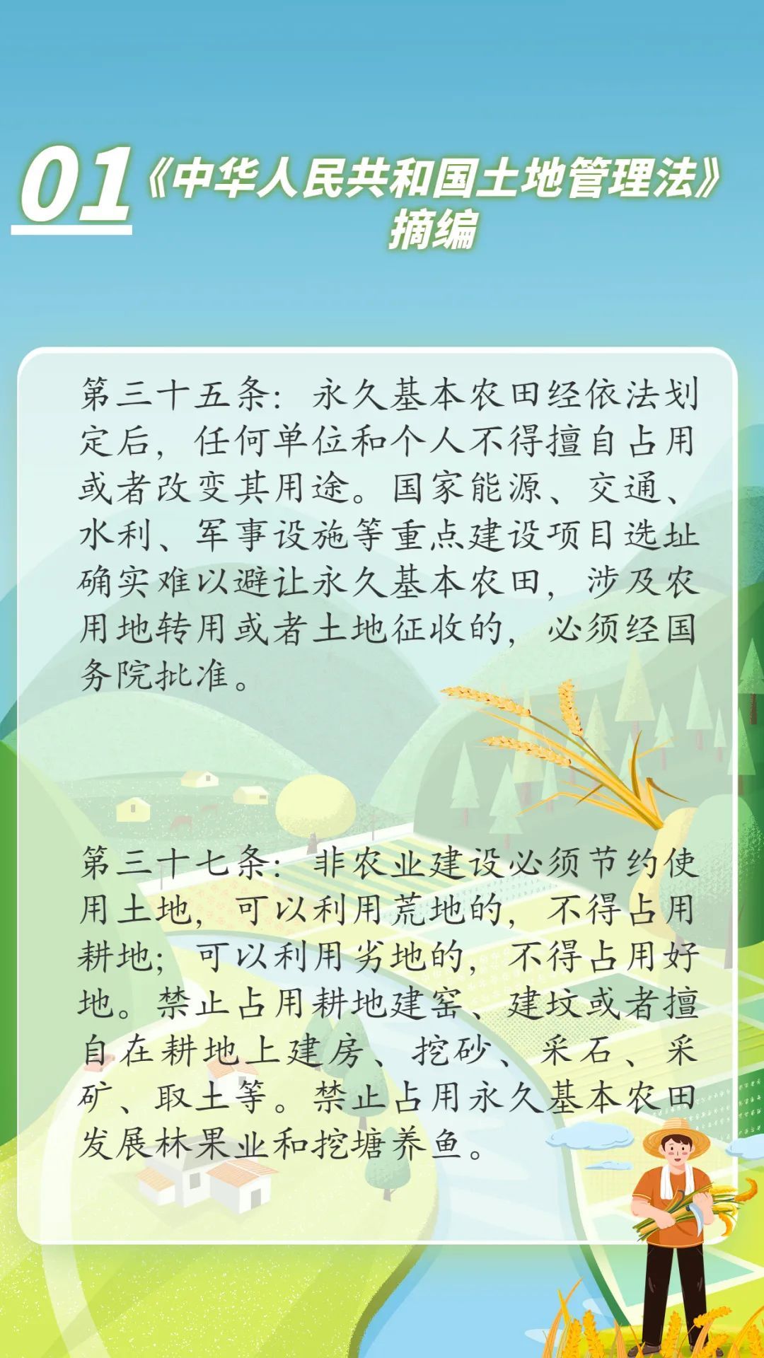 深度解析最新耕地土地法，政策导向与实施要点，新耕地土地法深度解读，政策导向与实施关键