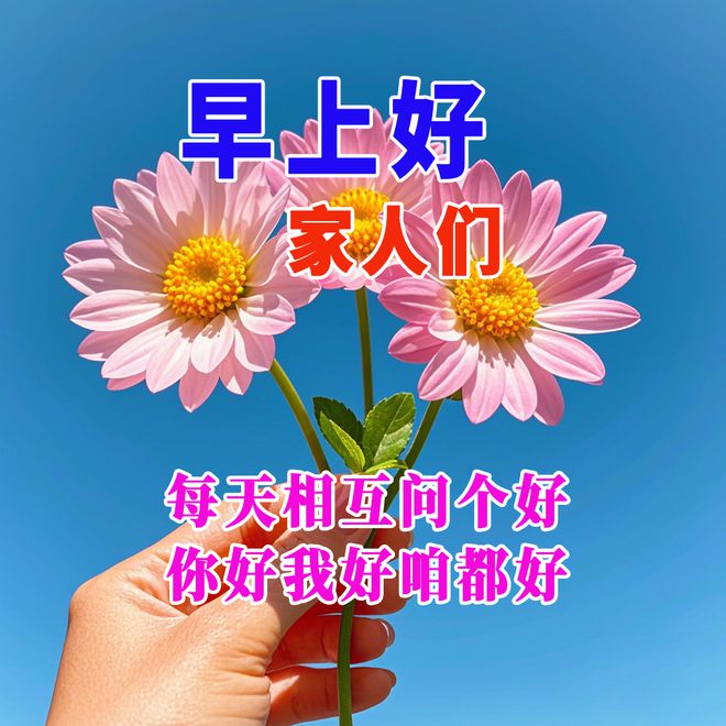 2024最新早上好祝福语，早上好精句短句，健康快乐平安！