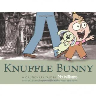 让家人与孩子一起重温成长故事的《Knuffle Bunny》