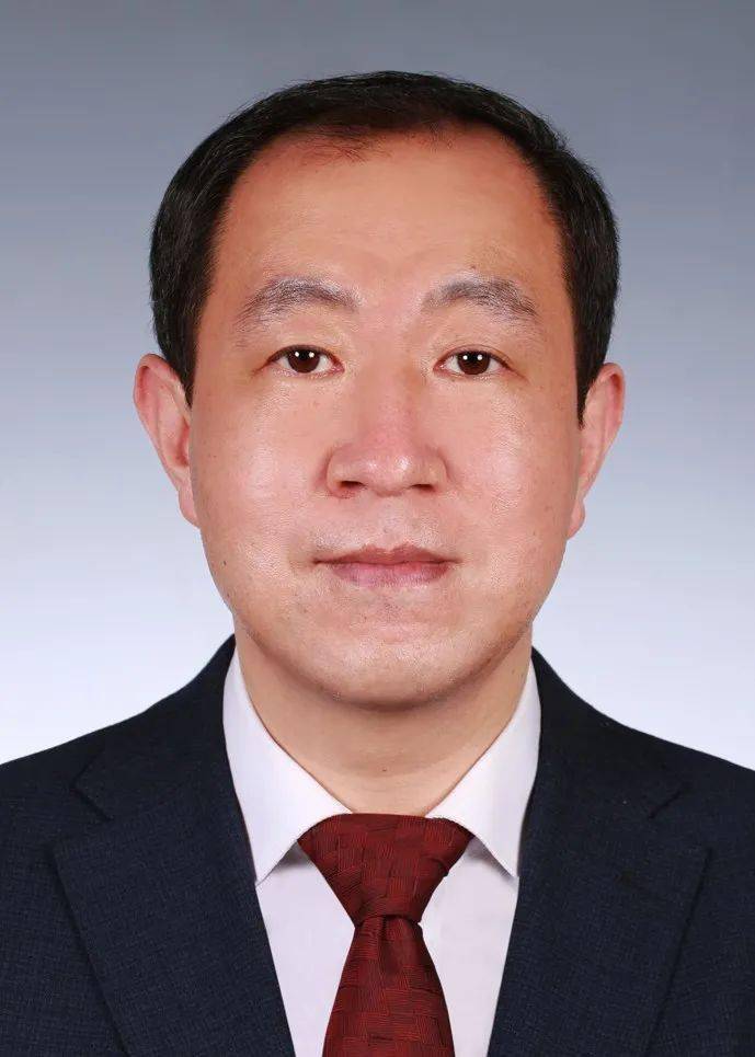 沈阳最新干部公示名单，沈阳干部公示名单动态更新与深度解读报告