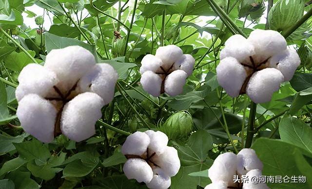 低温治理操作规范最新版，低温治理操作规范最新版指南：确保安全高效的工作实践