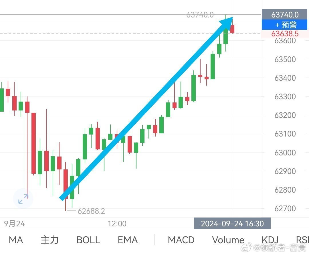 比特币行情软件导入指标，比特币行情软件指标导入深度解析：提升交易决策准确性的关键步骤与趋势展望
