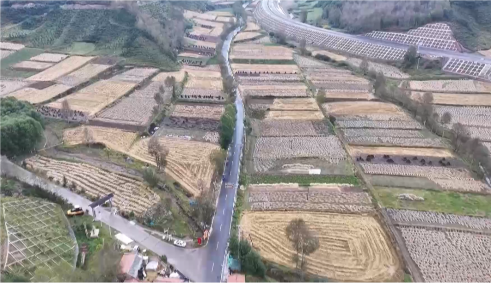 淮北市濉溪县建优“四好农村路”拓宽乡村振兴路