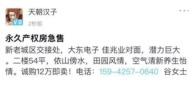 呼延村出售房租信息网最新，呼延村最新房租出售信息汇总及市场动态分析