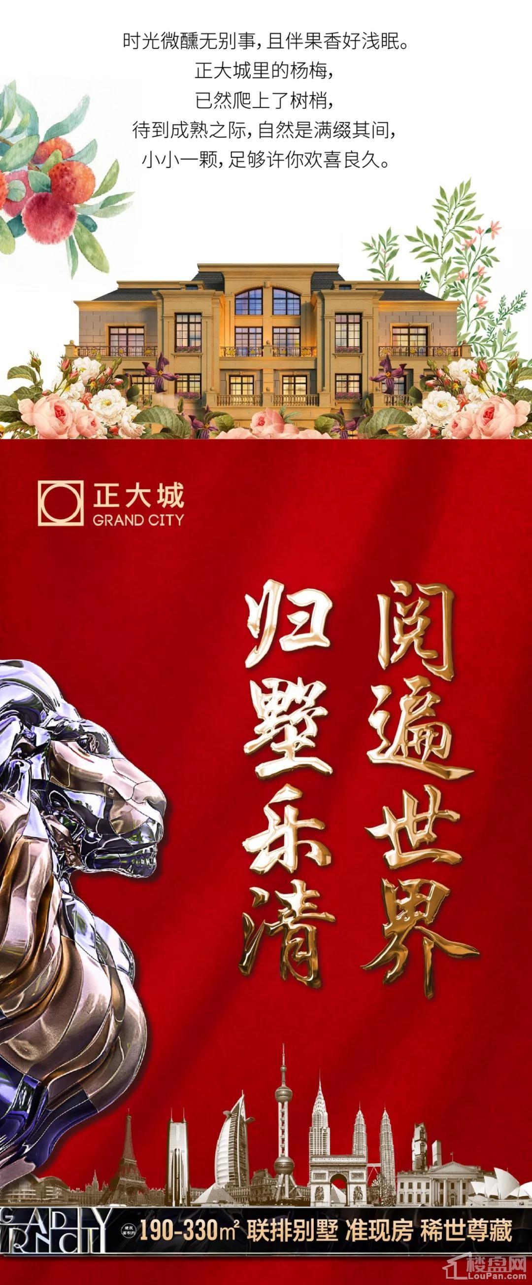 乐清正大最新，乐清正大最新动态揭秘