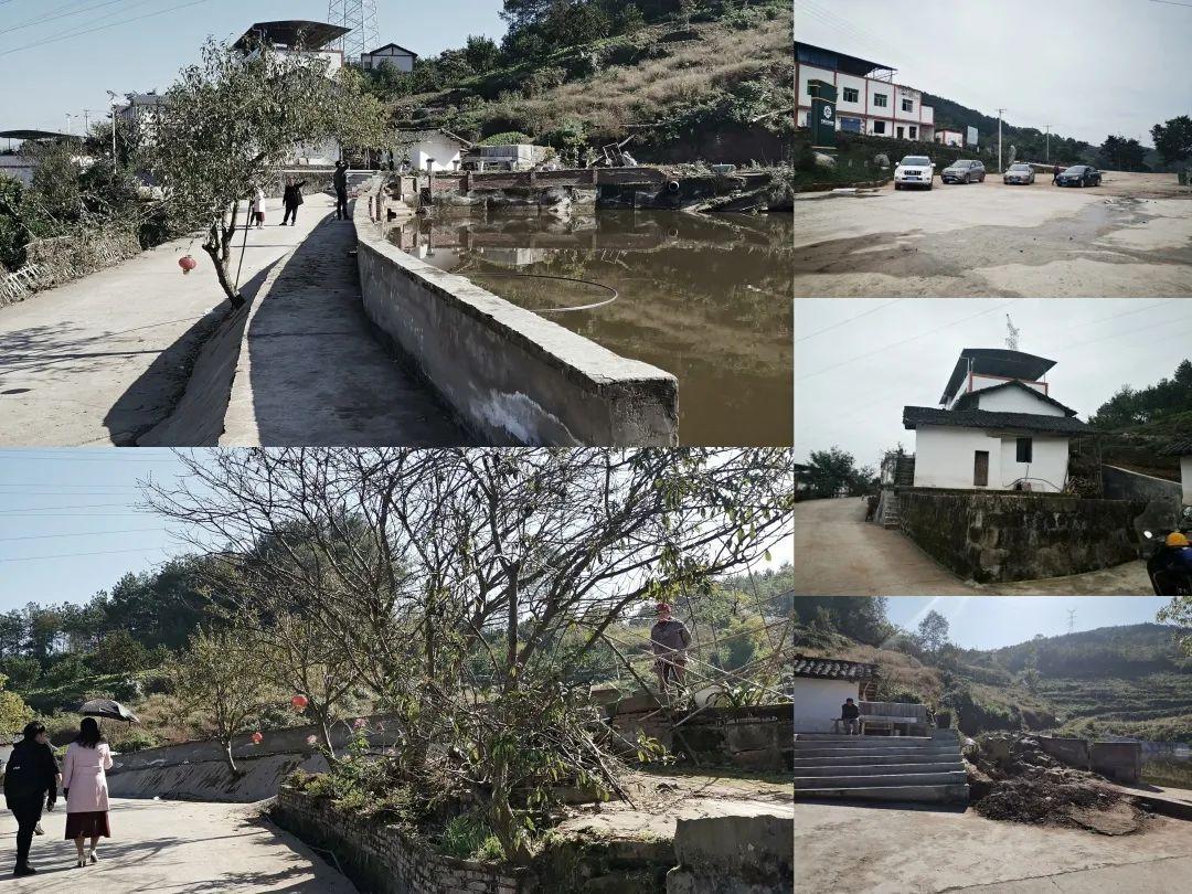 重庆养老整治方案最新版，重庆养老整治方案最新版解读：提升养老服务，应对人口老龄化挑战