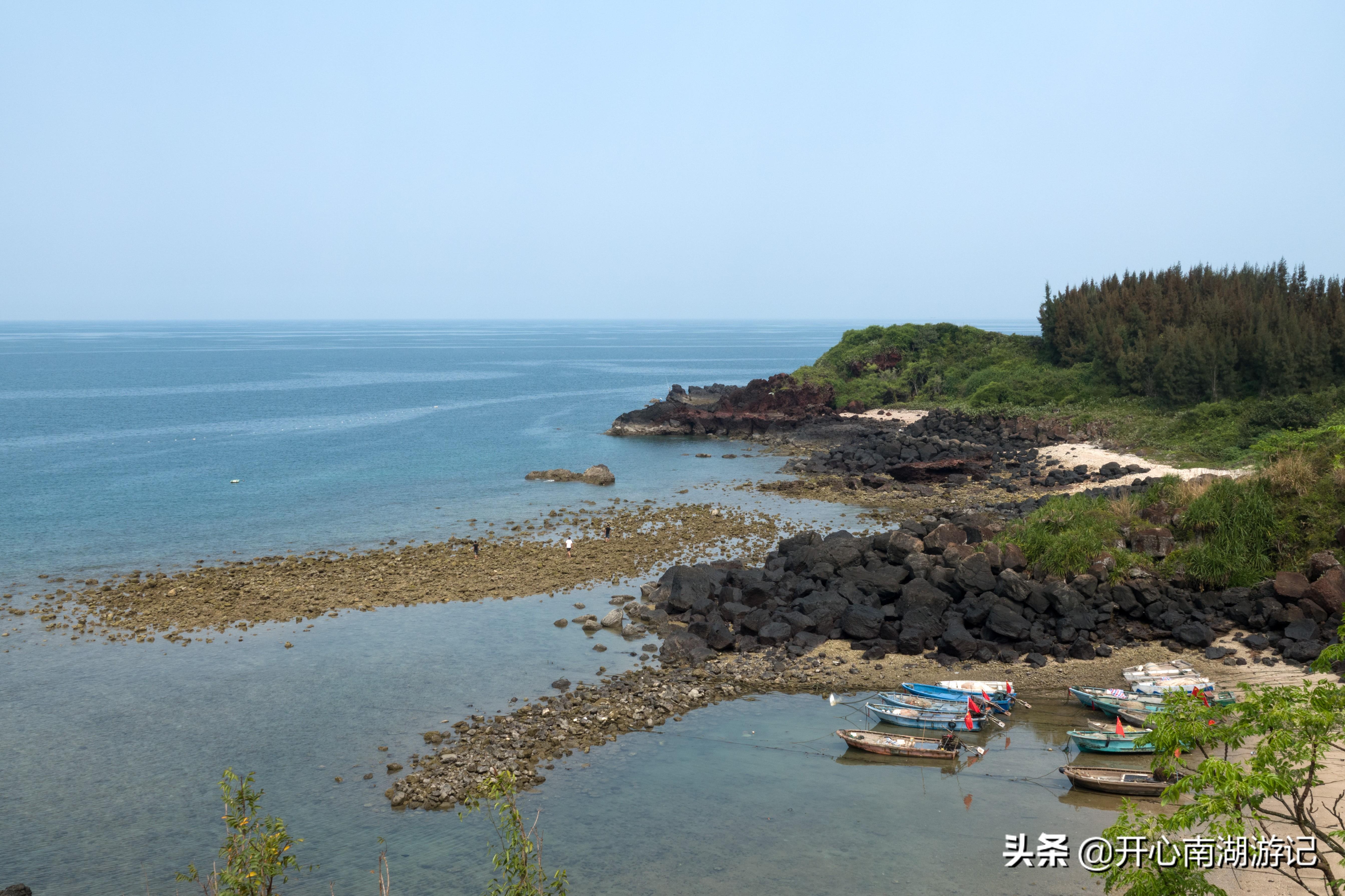 儋州司机招聘最新信息，儋州司机招聘信息汇总：最新招聘动态与求职攻略