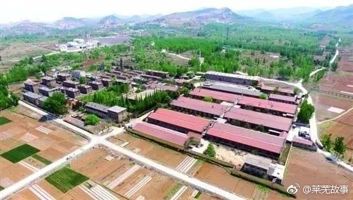莱芜核桃园转让信息最新，莱芜核桃园转让最新指南：全面解读转让流程、市场分析及最新动态