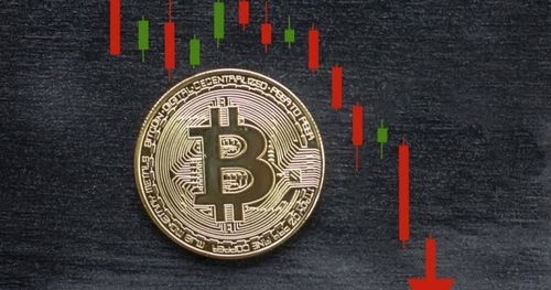 比特币可以怎么买东西，比特币购物指南：探索数字货币在购物中的应用与未来展望