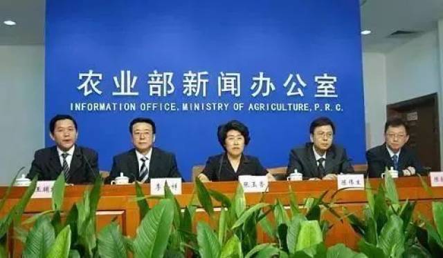 江门水田最新信息新闻，江门水田：科技驱动下的绿色农业现代化新征程