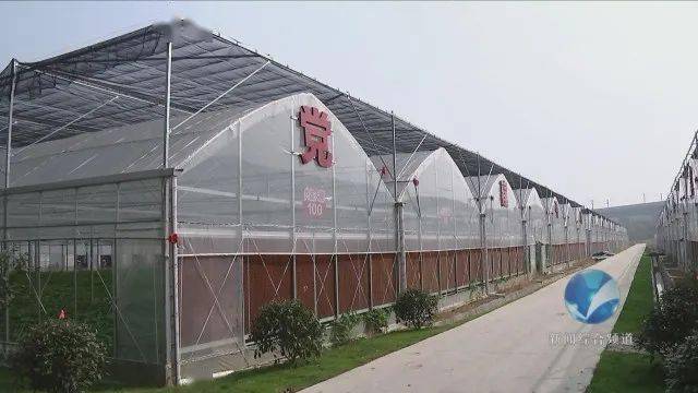 huangxinzhen 第30页