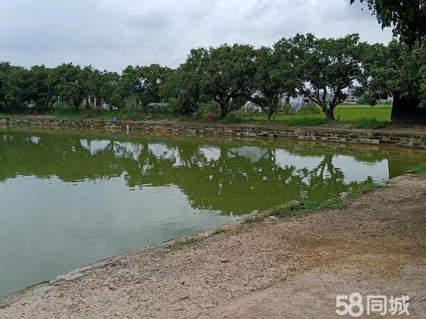 汕头钓场出租最新信息网，汕头钓场出租最新信息汇总与未来趋势展望
